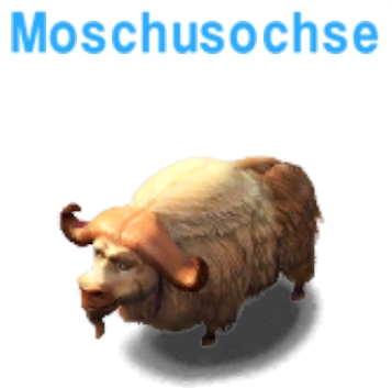 Moschusochse      